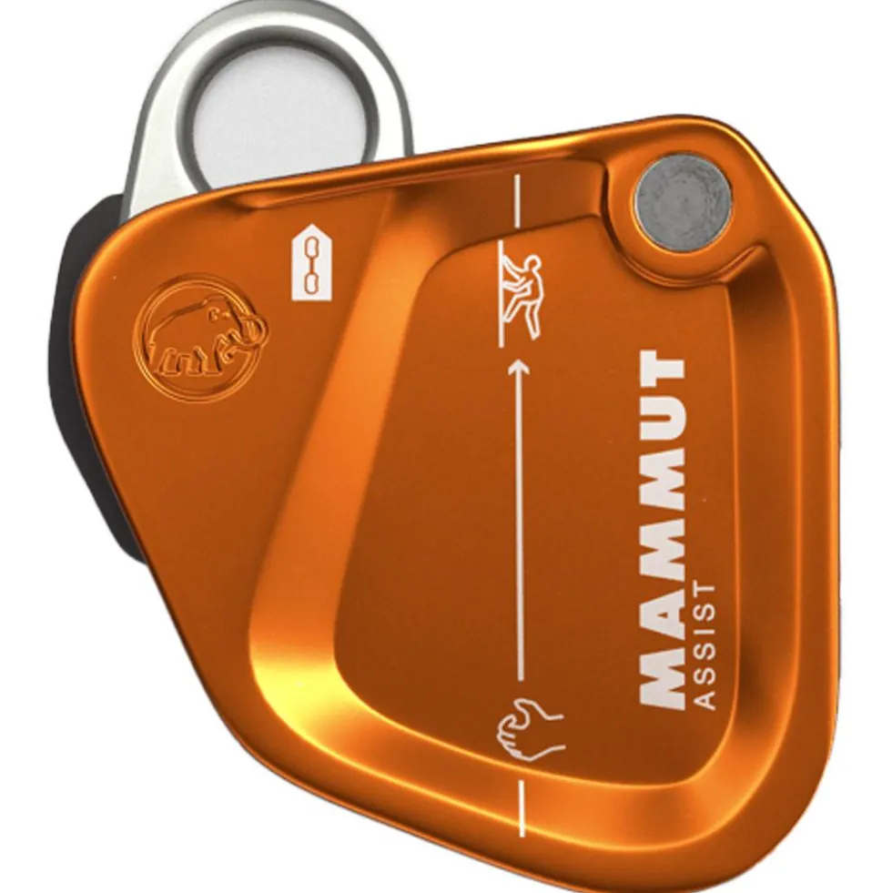 Rinvii Mammut Assist Belay Resistor