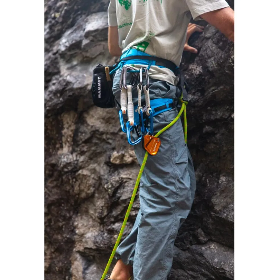 Rinvii Mammut Assist Belay Resistor