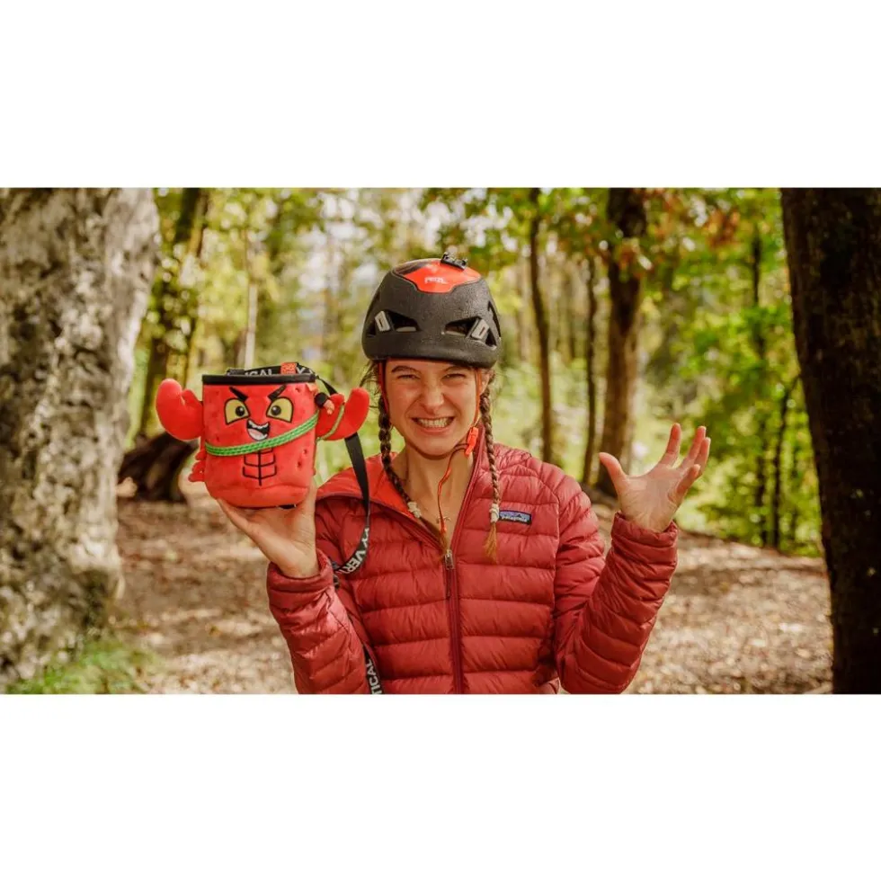 Sacche portamagnesite YY Vertical Animaux Lobster