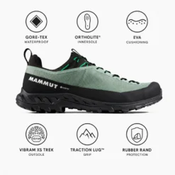 Scarpe da avvicinamento Mammut Alnasca IV Low Gore-Tex Deep Silver Sage Pinea