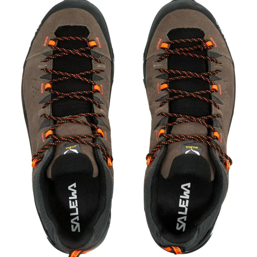 Scarpe da avvicinamento Salewa Alp Trainer 2 Gore-Tex Bungee Cord Black