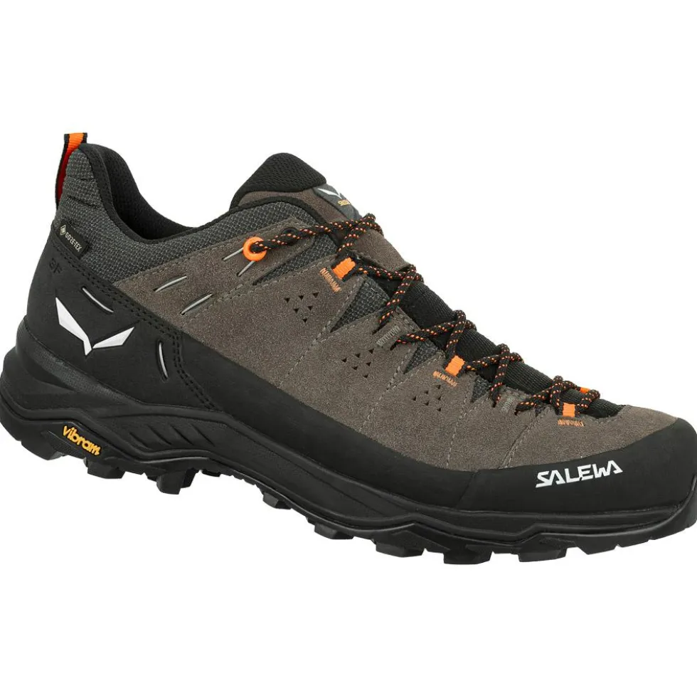 Scarpe da avvicinamento Salewa Alp Trainer 2 Gore-Tex Bungee Cord Black