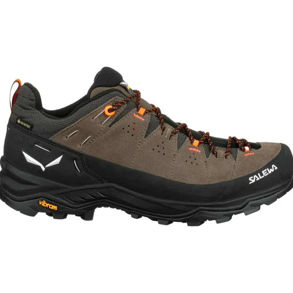 Scarpe da avvicinamento Salewa Alp Trainer 2 Gore-Tex Bungee Cord Black