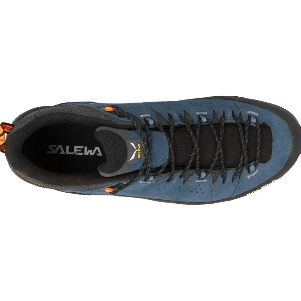 Scarpe da avvicinamento Salewa Alp Trainer 2 Java Blue Black