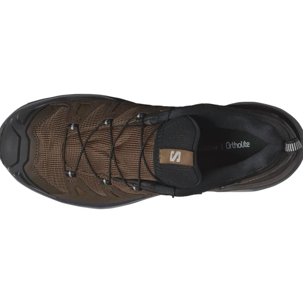 Scarpe da Fast Hiking Salomon X Ultra 360 Ltr Gore-tex Dark Earth Delicioso Sharkskin
