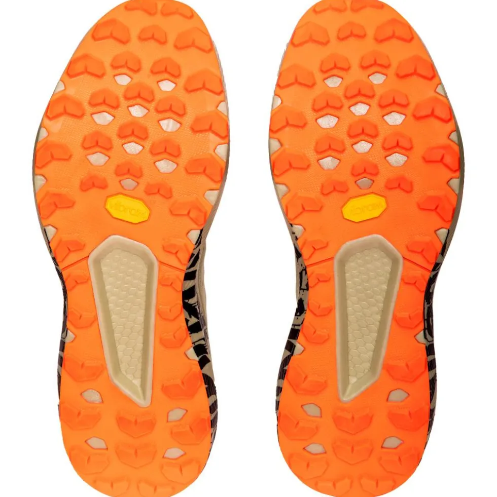 Scarpe da Gravel Running Dynafit Trail Graphic Overcast Black Out