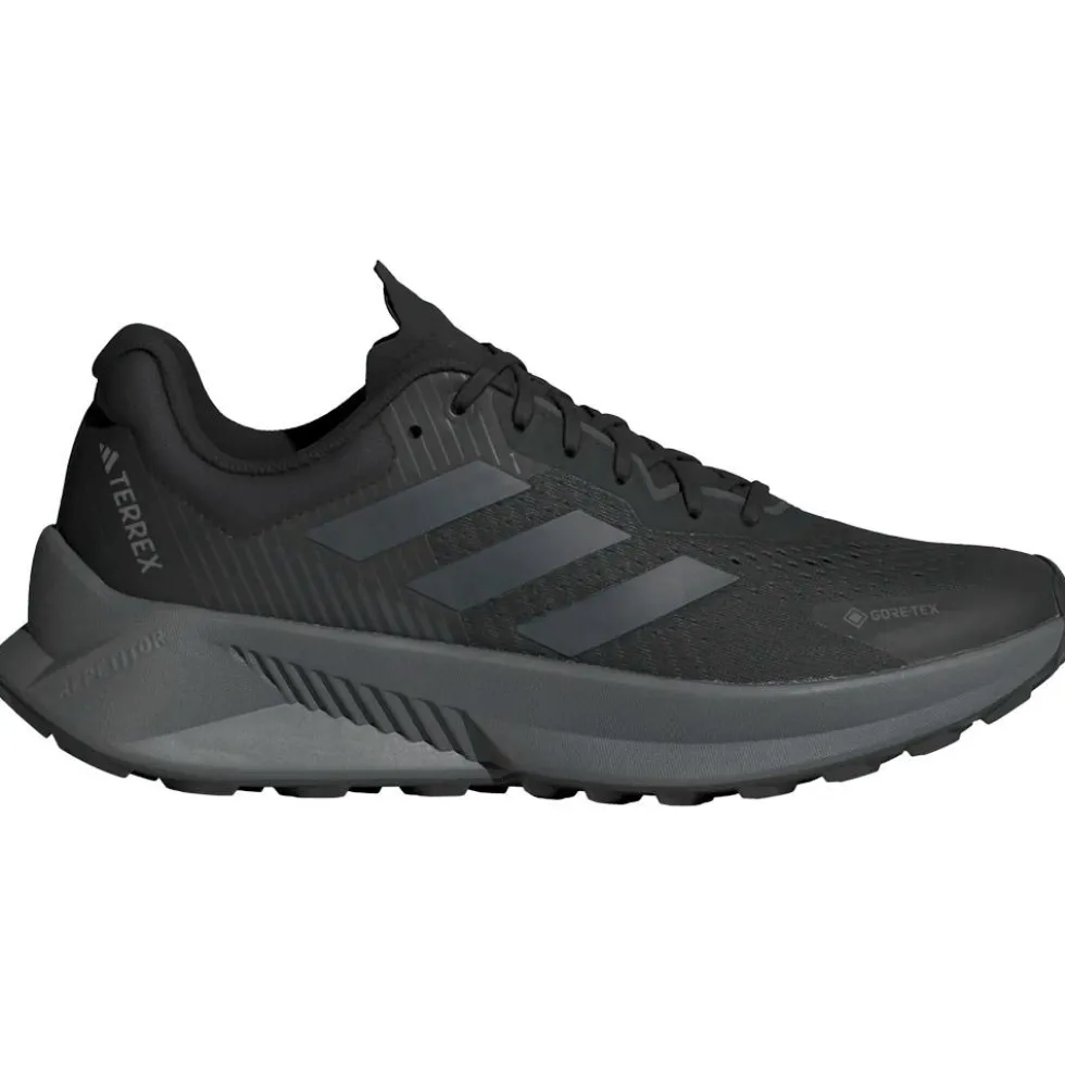 Scarpe da trail adidas Terrex Soulstride Flow Gore-Tex Quicri Cblack Pnkfus