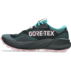 Scarpe da trail Asics Trabuco 14 Gore-Tex Wmn Black Morganite