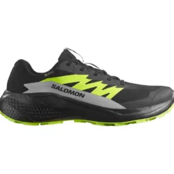 Scarpe da trail Salomon Alphaglide Gore-Tex Black Alloy Sharp Green