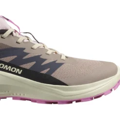 Scarpe da trail Salomon Alphaglide Gore-Tex W Etherea Vanilla Ice Cyclamen