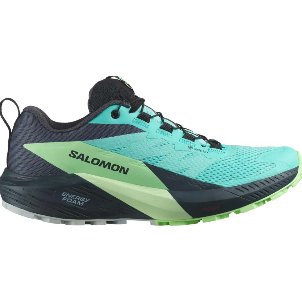 Scarpe da trail Salomon Sense Ride 5 Gore-Tex W Blue Radiance Green Ash India Ink