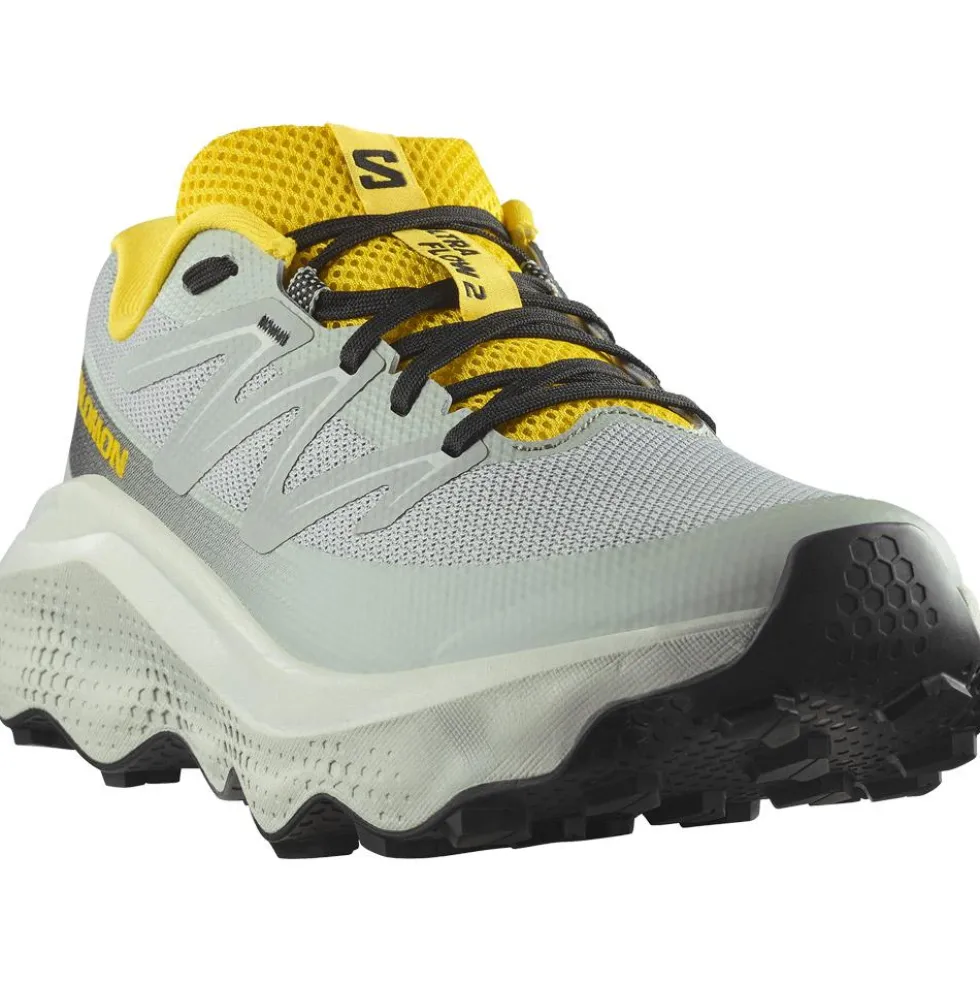 Scarpe da trail Salomon Ultra Flow 2 Wrought Iron Metal Incaberry