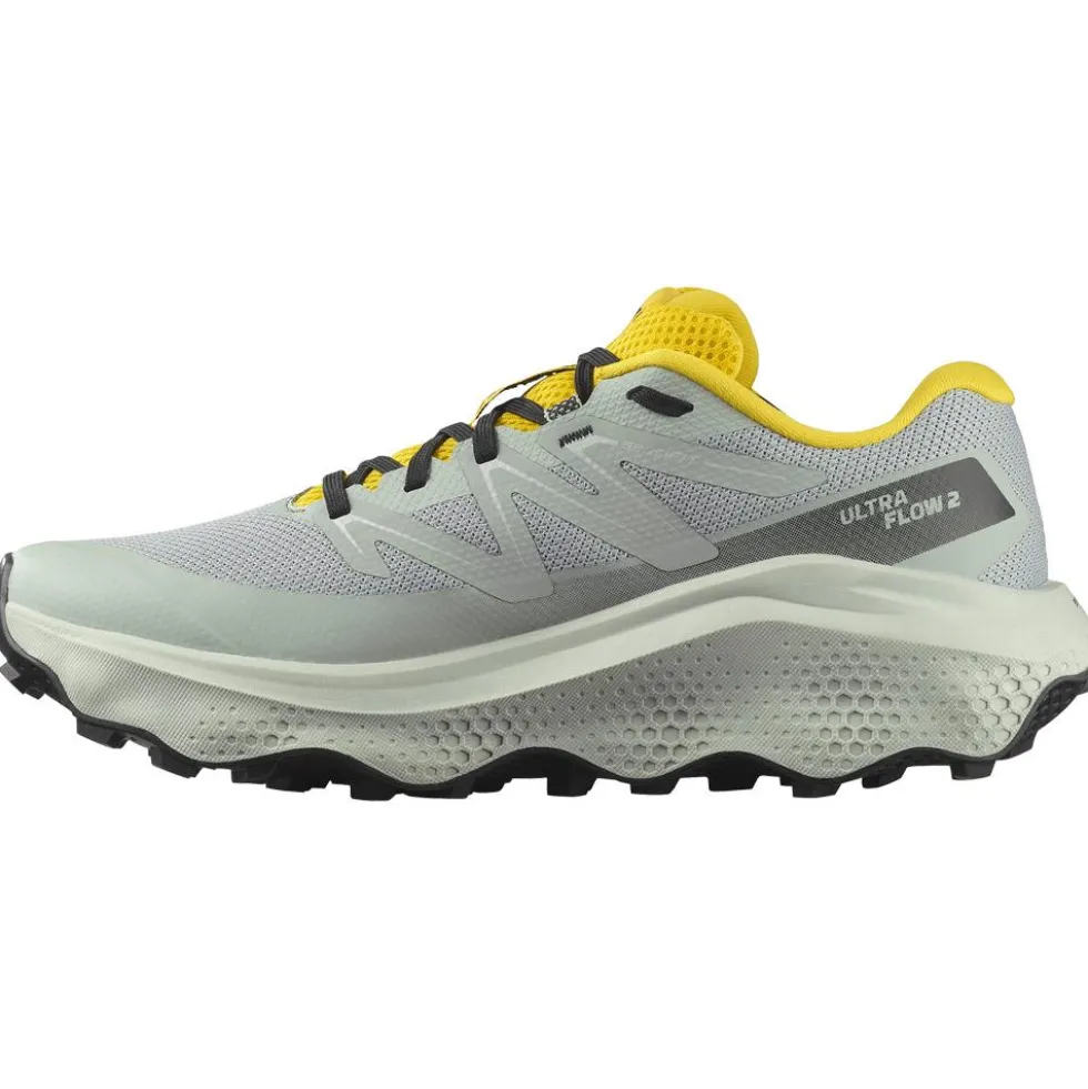 Scarpe da trail Salomon Ultra Flow 2 Wrought Iron Metal Incaberry