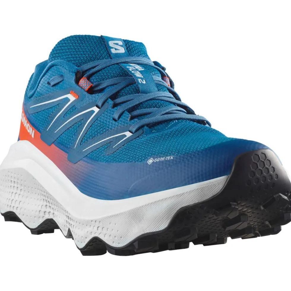Scarpe da trail Salomon Ultra Flow 2 Gore-Tex Dark Blue Ballad Blue Cherry Tomato