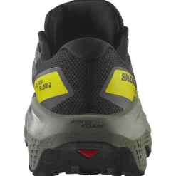 Scarpe da trail Salomon Ultra Flow 2 Gore-Tex Black Sedona Sage Incaberry