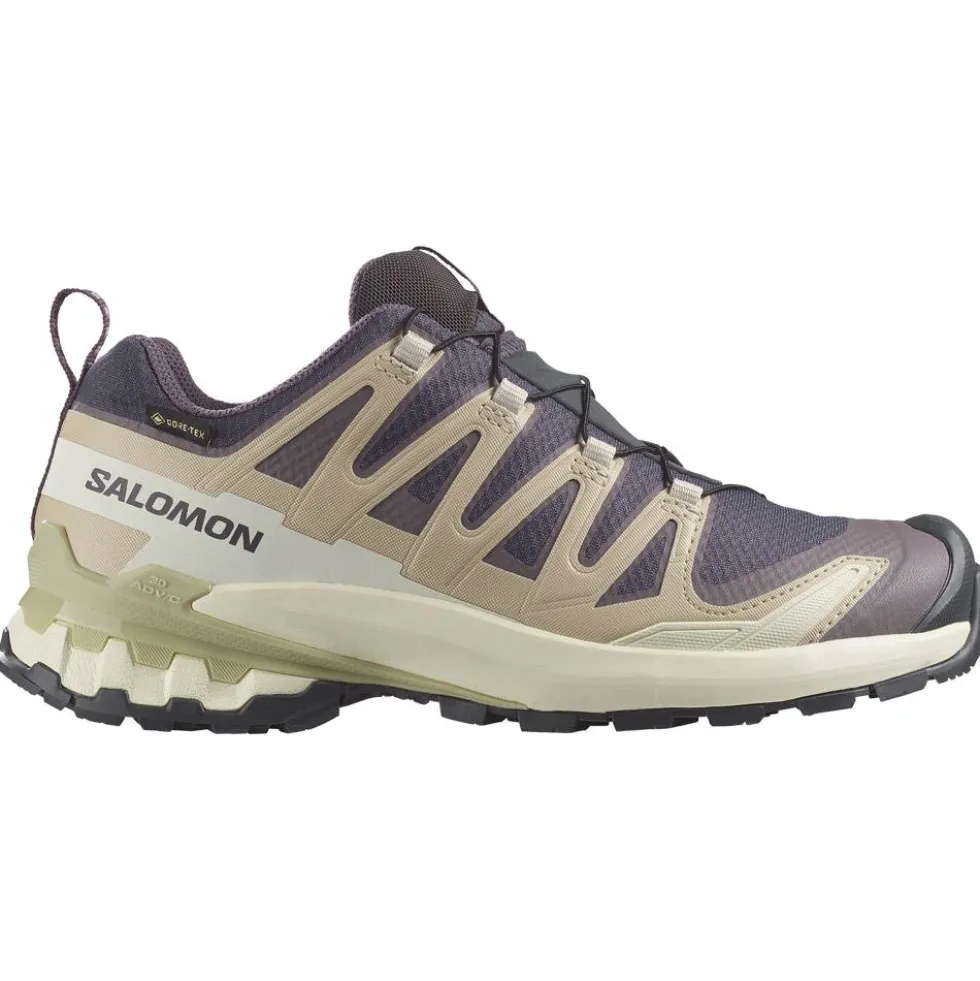 Scarpe da trail Salomon Xa Pro 3D V9 Gore-Tex W Nine Iron Oxford Tan Alfalfa