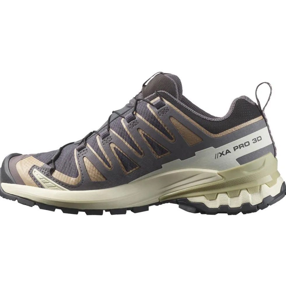 Scarpe da trail Salomon Xa Pro 3D V9 Gore-Tex W Nine Iron Oxford Tan Alfalfa