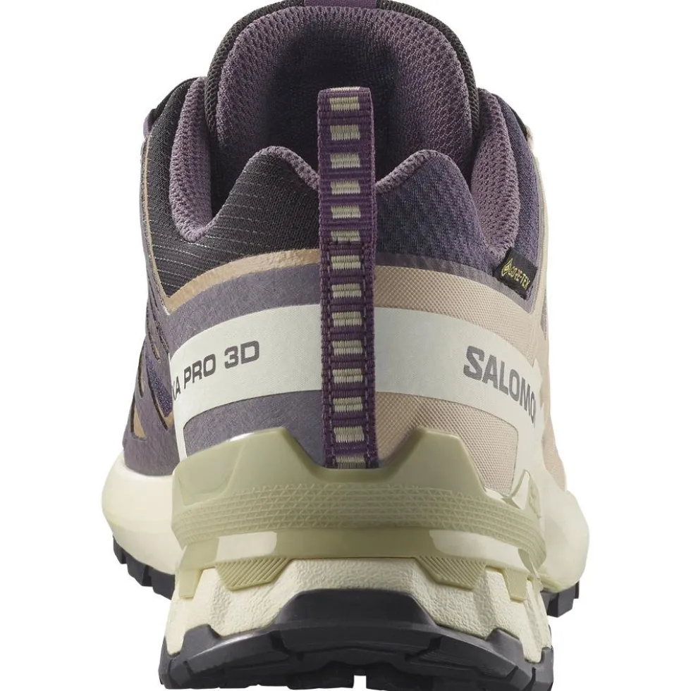 Scarpe da trail Salomon Xa Pro 3D V9 Gore-Tex W Nine Iron Oxford Tan Alfalfa