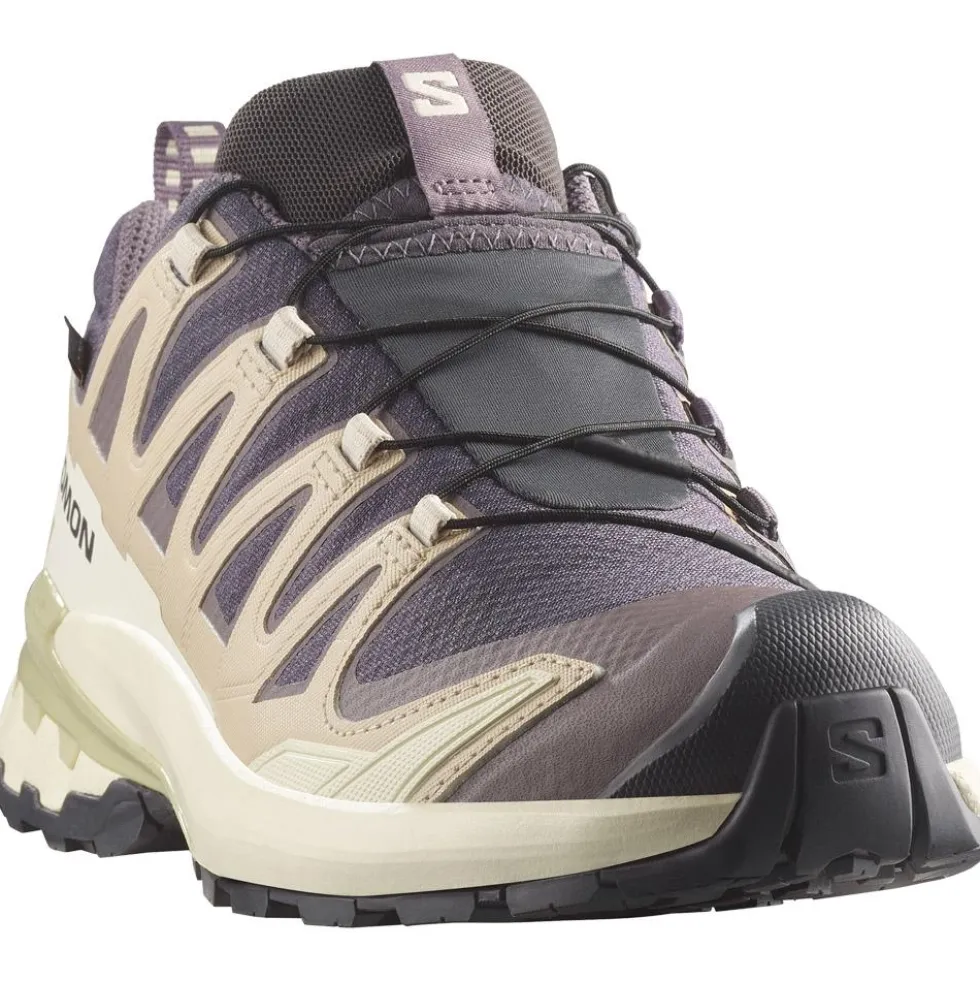 Scarpe da trail Salomon Xa Pro 3D V9 Gore-Tex W Nine Iron Oxford Tan Alfalfa