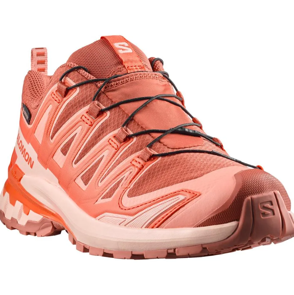 Scarpe da trail Salomon Xa Pro 3D V9 Gore-Tex W Pecan Brown Nectarine Almond Cream