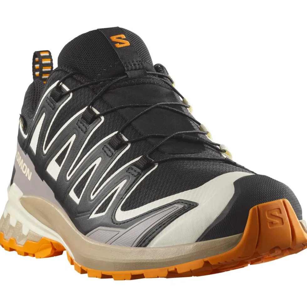 Scarpe da trail Salomon Xa Pro 3D V9 Gore-Tex Black Vanilla Ice Turmeric