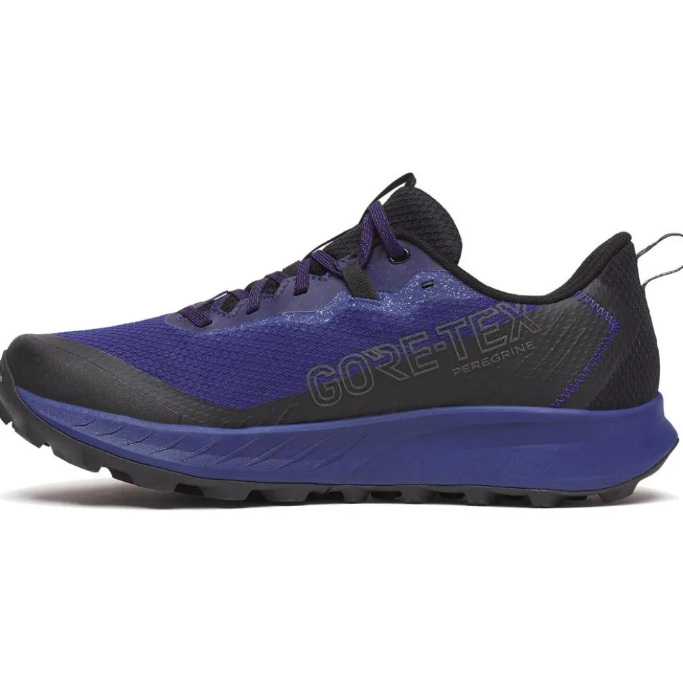 Scarpe da trail Saucony Peregrine 15 Gore-Tex Regal Black
