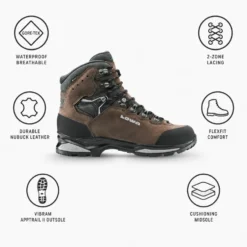 Scarpe trekking e montagna Lowa Camino Evo Gore-Tex Brown Graphit