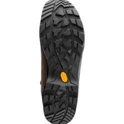 Scarpe trekking e montagna Lowa Camino Evo Gore-Tex Brown Graphit
