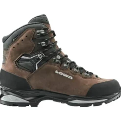 Scarpe trekking e montagna Lowa Camino Evo Gore-Tex Brown Graphit