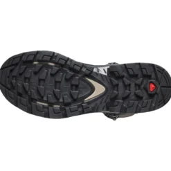 Scarpe trekking e montagna Salomon Quest Element Gore-Tex W Ebony Rainy Day Stormy Weather