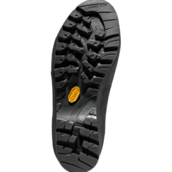 Scarponi da alpinismo La Sportiva Trango Alp Evo Women Gore-Tex Carbon Cerise