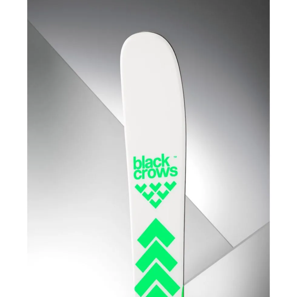 Sci Black Crows Junius