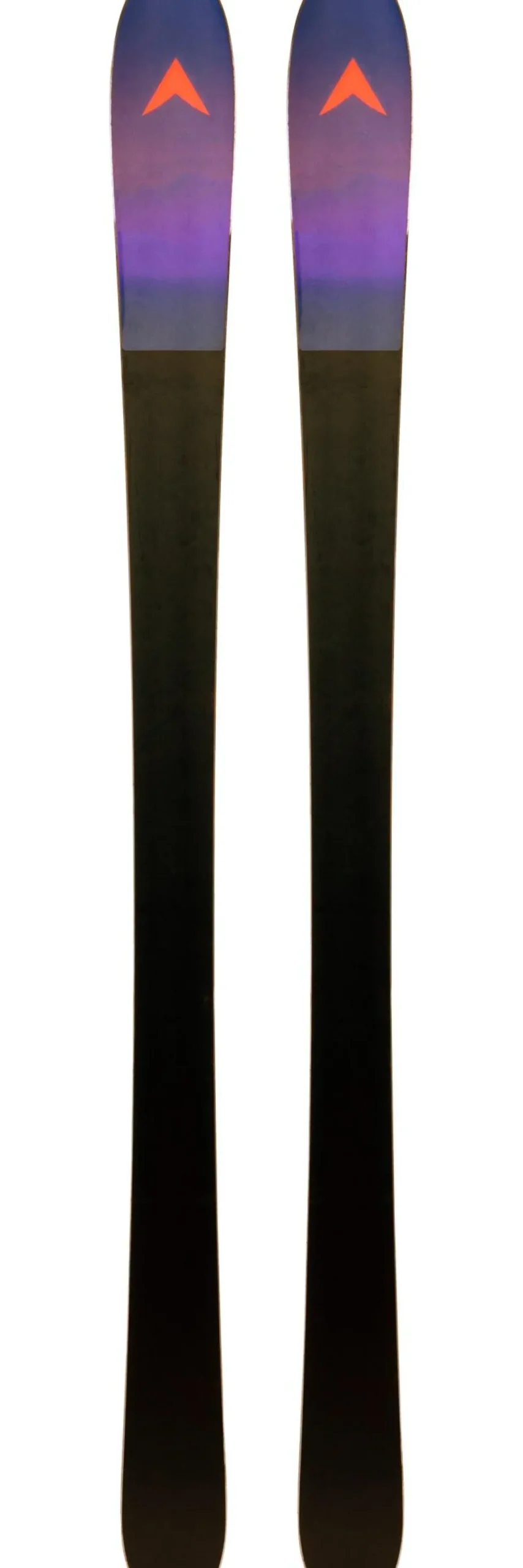 Sci Dynastar M-Cross 88
