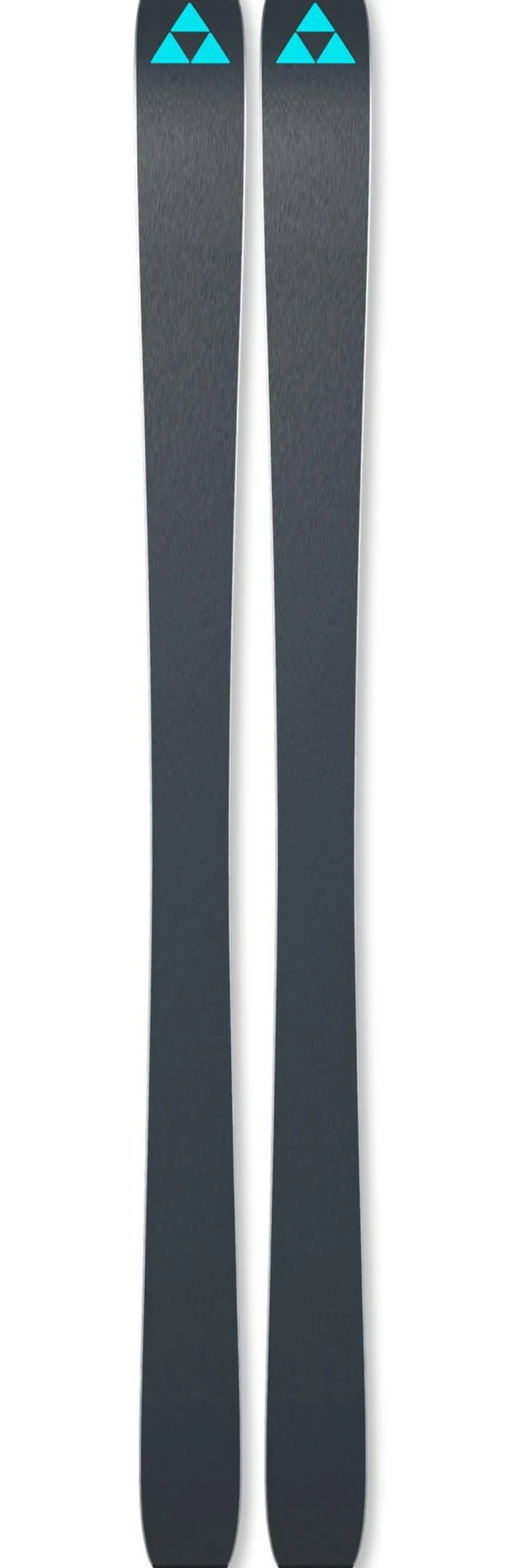 Sci Fischer Ranger 84
