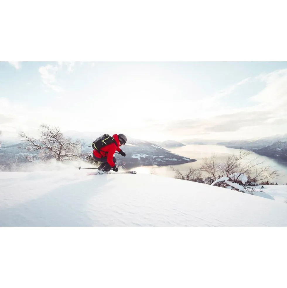 Sci Majesty Havoc 100 Carbon