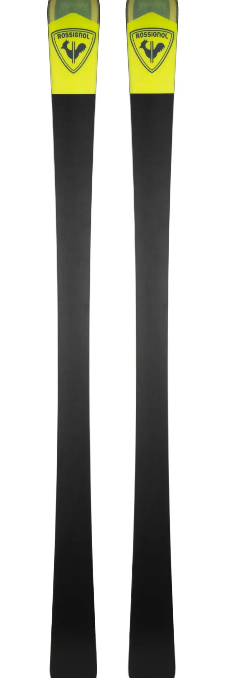 Sci Rossignol Arcade 84
