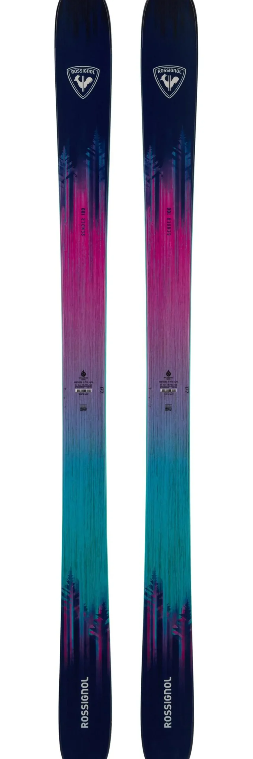 Sci Rossignol Sender 100