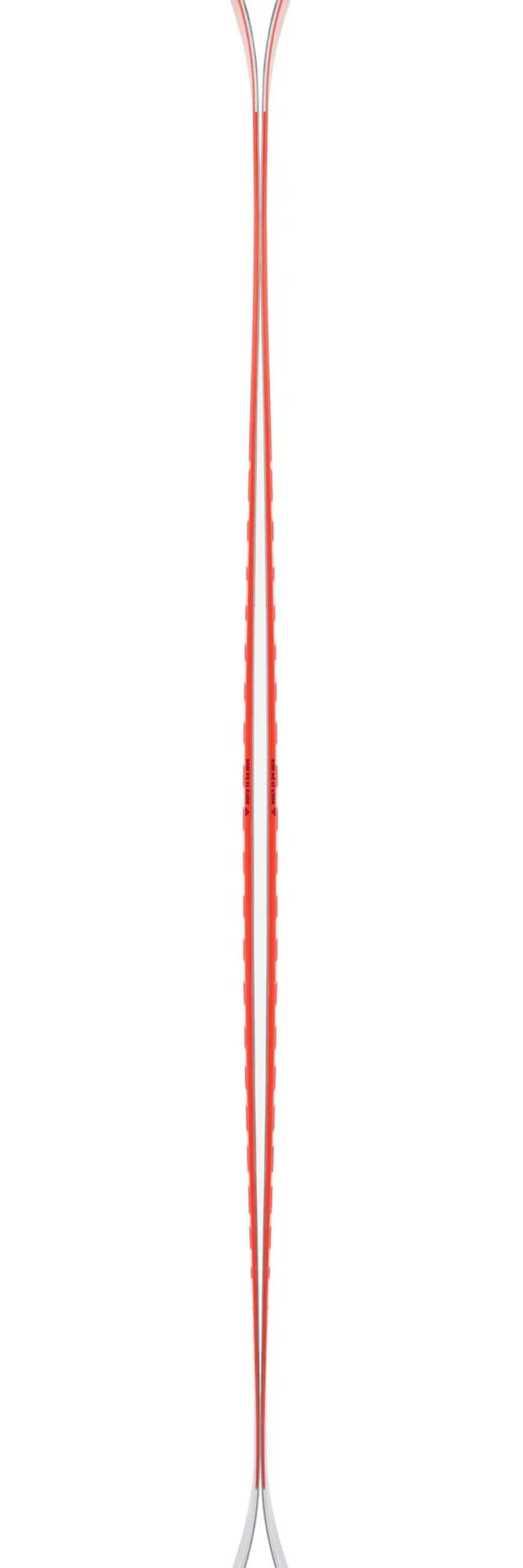 Set sci alpino Camox Birdie Jr + att
