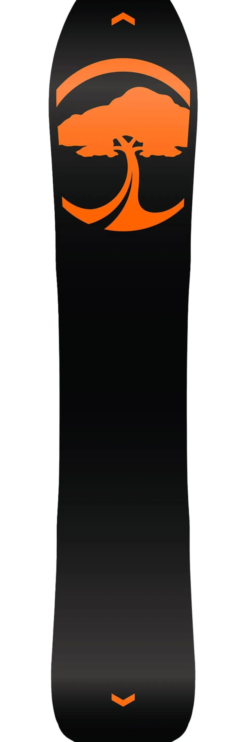 Tavola snowboard Arbor Coda