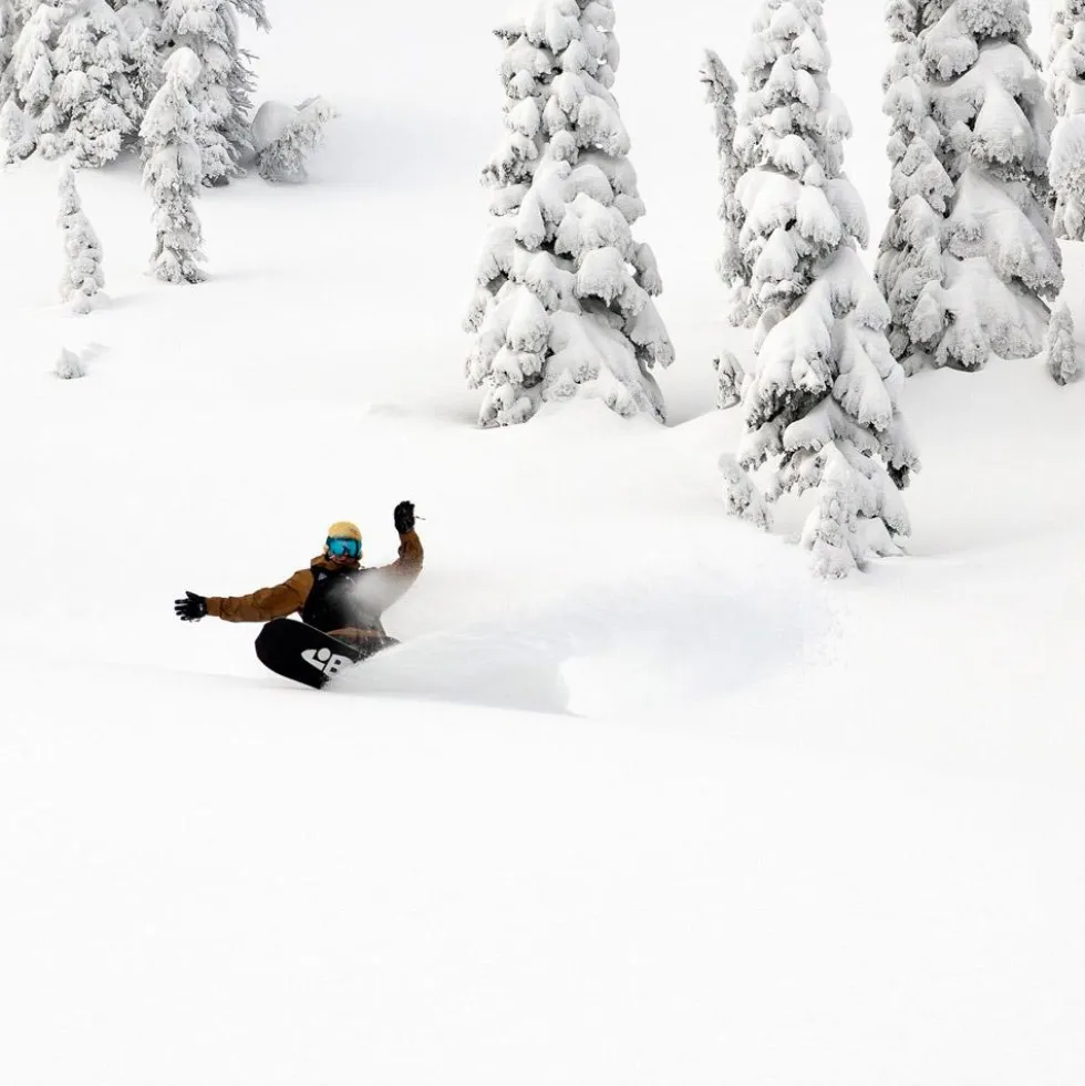 Tavola snowboard Lib Tech Orca