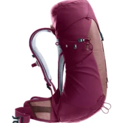 Zaino Deuter Ac Lite 22 SL Ashrose Cassis